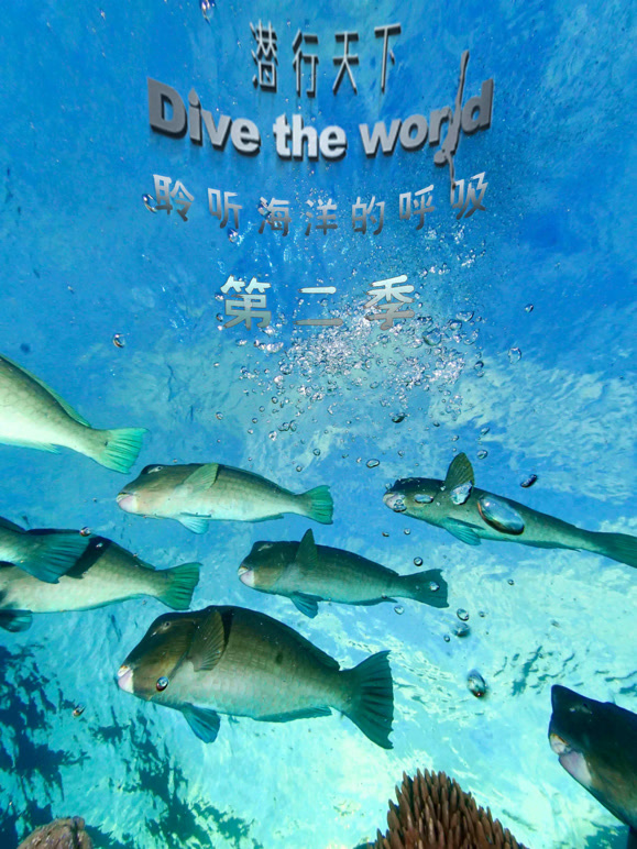 潜行天下第二季