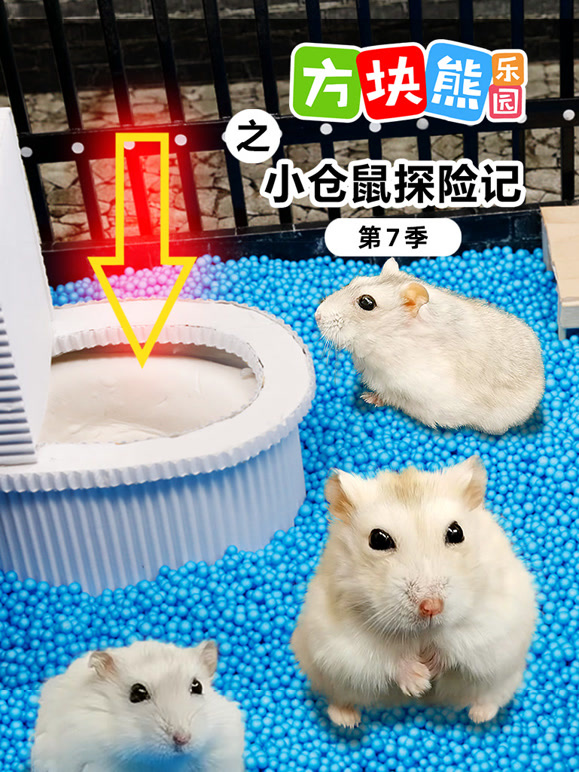 方块熊乐园之小仓鼠探险记 第7季