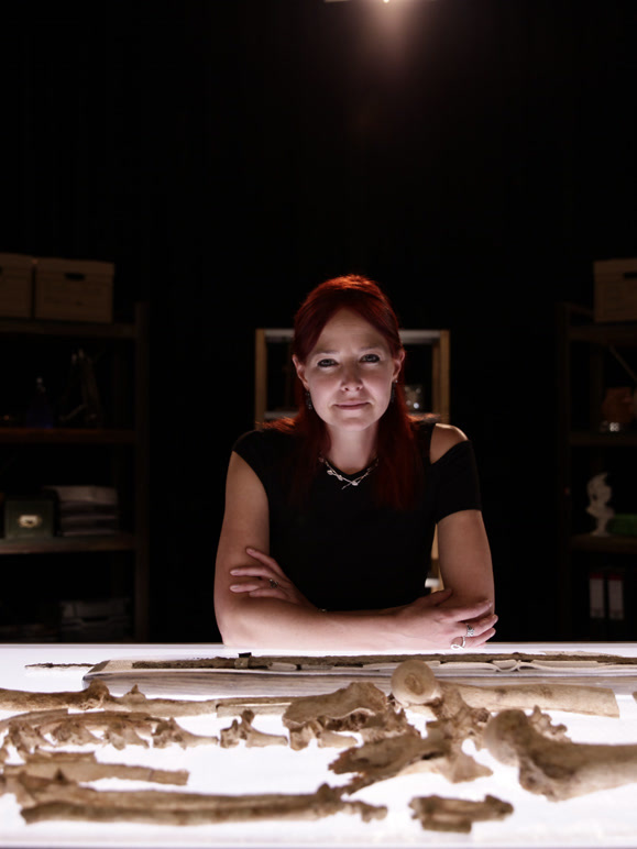 挖掘英国 第十季