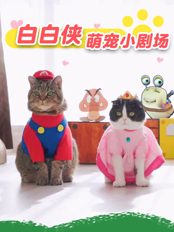 白白侠萌宠小剧场