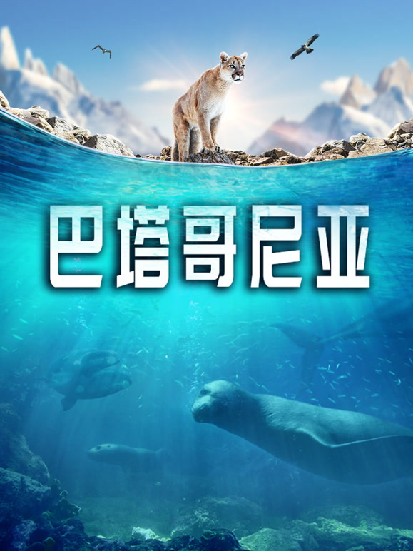 巴塔哥尼亚配音版