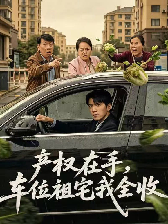 产权在手，车位祖宅我全收